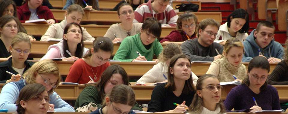 在线短信轰炸机网页版